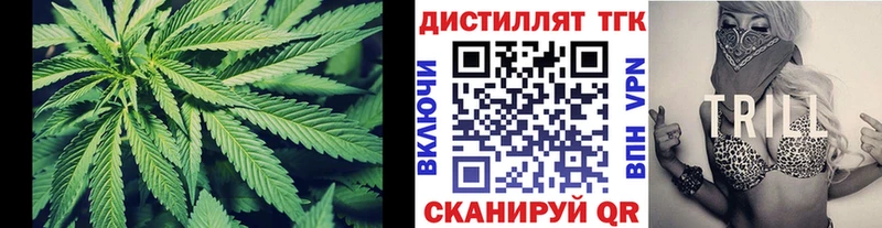 где можно купить   Аксай  ТГК гашишное масло 